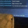 Laserniy Raptor